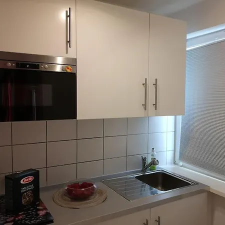 Apartment Furnished Near Daimler, Business & Family